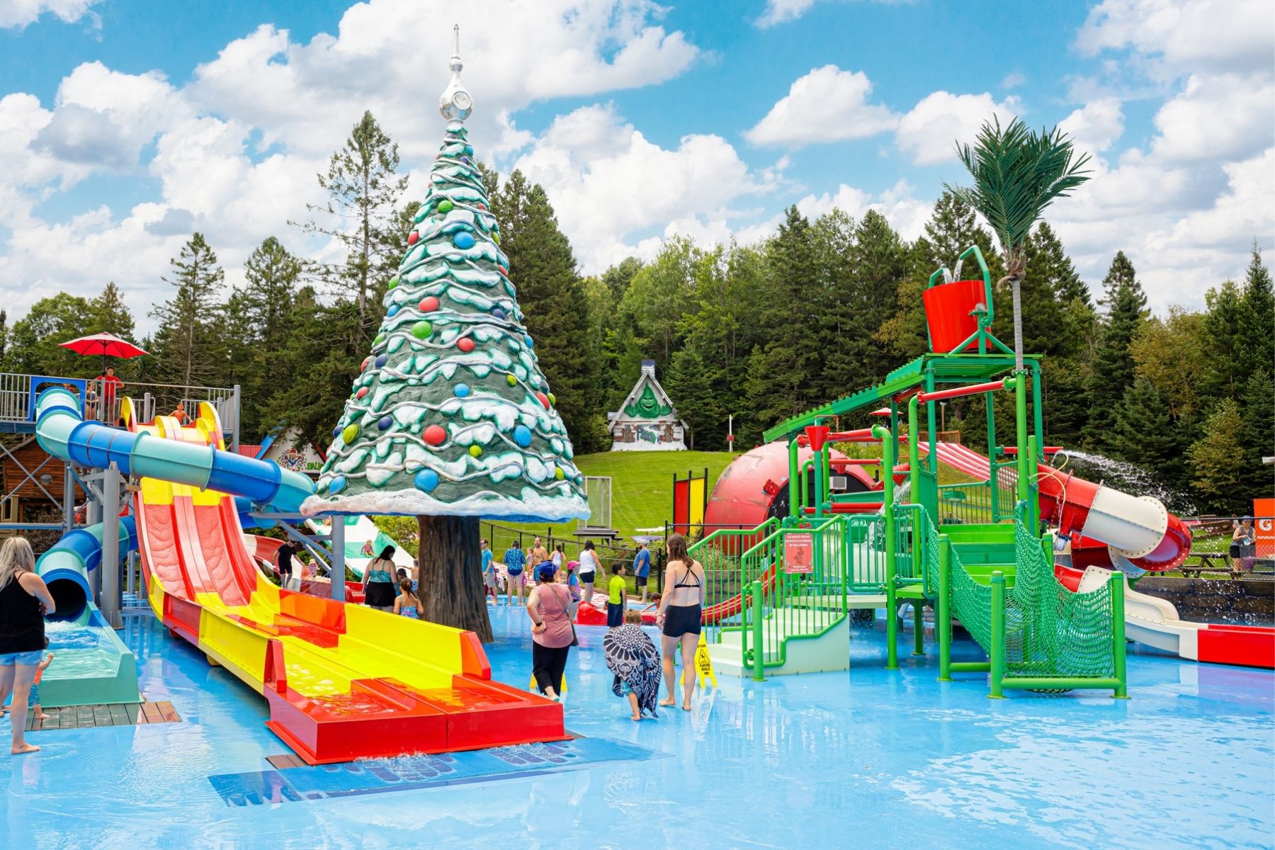 RF - PAGE VILLAGE - SECTION 1 - Photo 3