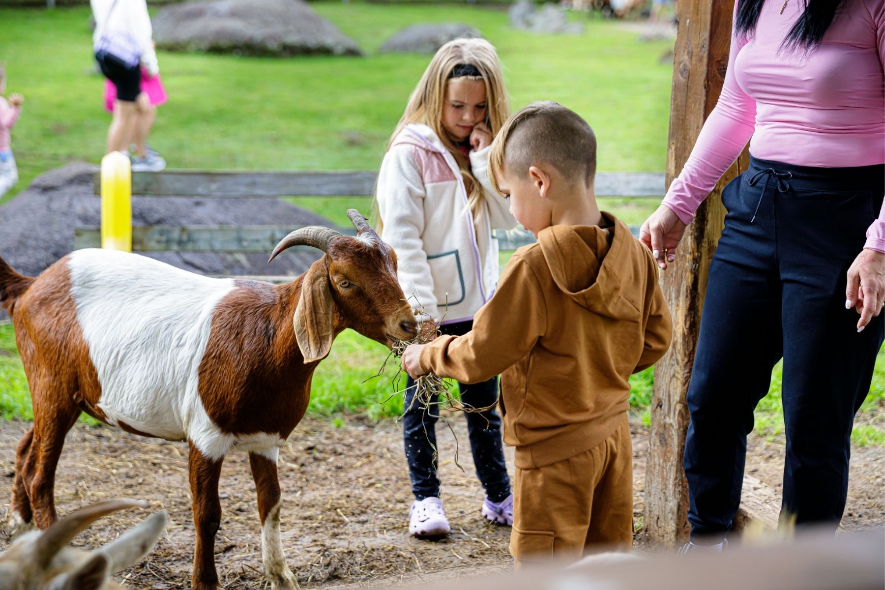 RF - PAGE VILLAGE - SECTION 1 - Photo 4